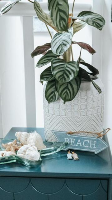 The Sea Loft Castlerock. Apartment
